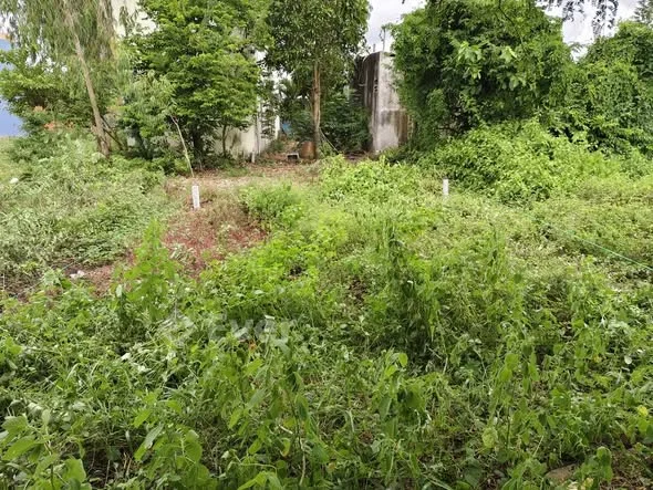 Ảnh bất động sản