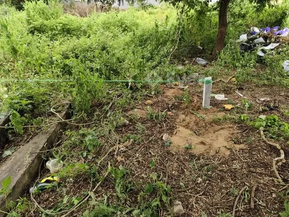 Ảnh bất động sản