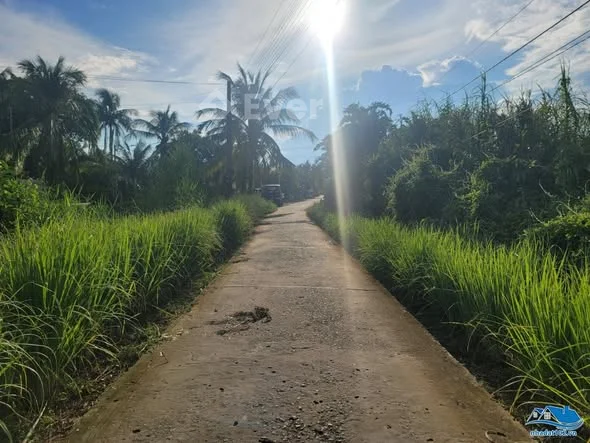 Bán đất ruộng 5.728m2 mặt tiền đường Phạm Văn Vàng (kênh Láng Cát), cách đường Huỳnh Tấn Phát 400m - 1,65 tỷ - 5728m²