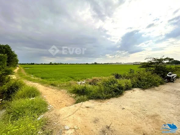 Bán 2.000m2 đất ruộng hẻm 85 Nguyễn Thiện Thuật, giáp kdc trường CĐSP Kiên Giang - 2,8 tỷ - 2000m²