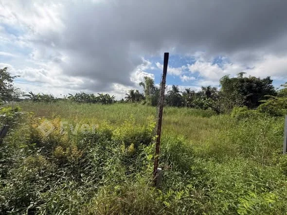 Bán đất 2000m2 mặt tiền Văn Tiến Dũng có Thổ cư- Đoạn giữa cầu dãy ốc và cầu kinh cây sao - 3,35 tỷ - 2000m²