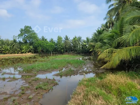 Bán đất ruộng 10.215m2, cách đường 3/2 nối dài 400m (ấp Vĩnh Hội, xã Vĩnh Hòa Phú cũ - 2 tỷ - 10.22m²
