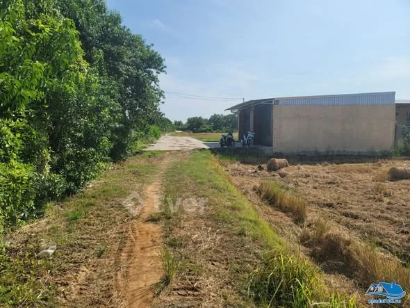 Bán đất ruộng 2.269m2 đường Nguyễn Thông, cách chợ Rạch Sỏi 2,2km (phường Rạch Sỏi, Tp. Rạch Giá - 1,8 tỷ - 2.27m²