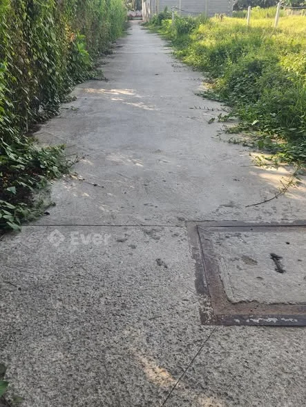 CHÍNH CHỦ GỬI BÁN NỀN ĐẤT KHU PHỐ BÌNH PHONG , PHƯỜNG MỸ PHONG TỈNH ĐỒNG THÁP MỚI