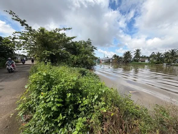 Ảnh bất động sản