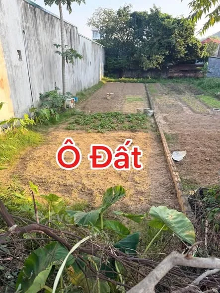 Bán 169m (75tc) ở Tam Lộng - Hương Sơn - Bình Xuyên