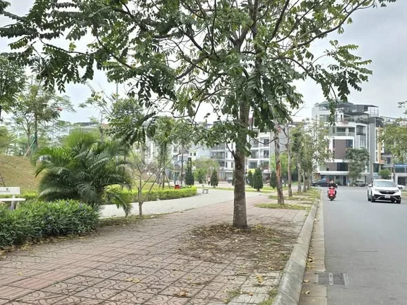 86m2 đấu giá Ngọc Thụy - phường Bồ Đề: Lô Góc 86,5m2 - mặt tiền 6.8m, đường to 17.5m