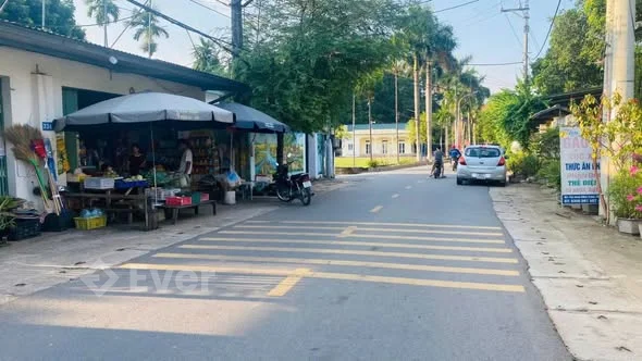 Sát trường Đồng Trạng – Cổ Đông Cách trục chính 50m 5 phút tới CNC Hòa Lạc & ĐHQG