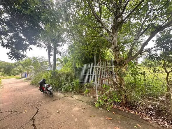 Ảnh bất động sản