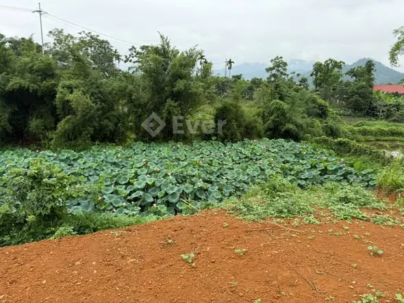 SIÊU PHẨM MẶT ĐƯỜNG CHỤC CHÍNH – YÊN TRUNG, THẠCH THẤT, HÀ NỘI