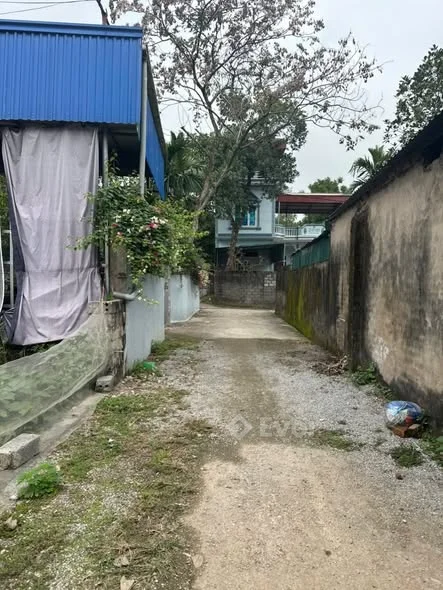 gần 60m đất ở Ba thá Ứng Hoà mà giá chỉ nhỉnh 1tỷ Thôn Phù Yên - xã Viên An - Ứng Hòa