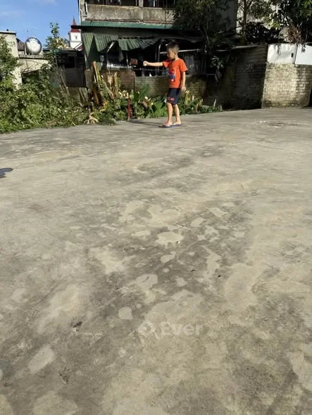 BÁN ĐẤT NGÕ PHẠM HỒNG THÁI – P. VINH TÂN (CŨ)