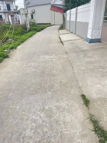 Đất tại thôn Phúc Thắng - xã Hiệp Hoà - Bắc Ninh+ 500m tới TL288 , CCN Đoan Bái - Danh Thắng