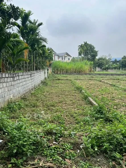 CHÍNH CHỦ GỬI BÁN 77,2m² – Thôn Bơ Môi, An Phú, Mỹ Đức, Hà Nội – Giá chỉ 9xx triệu!