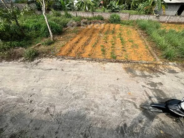 100 m phun thổ cư tại yên thái phú cát Hà Nội Mặt tiền rộng hơn 8 m hậu nở