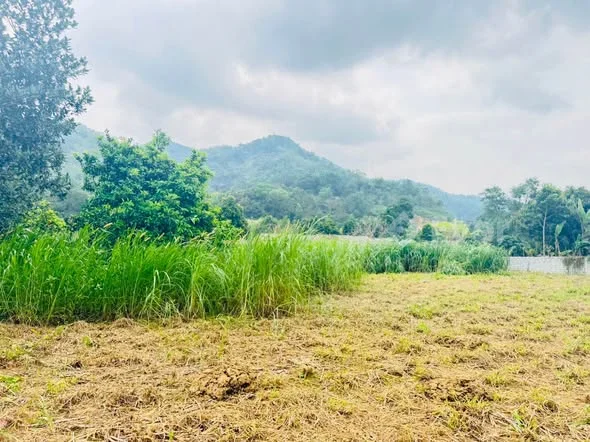 1080M2 TẠI THÔN CHÓNG - YÊN BÀI - HÀ NỘI, GIÁ ĐẦU TƯ CHỈ VÀI TRIỆU/M2