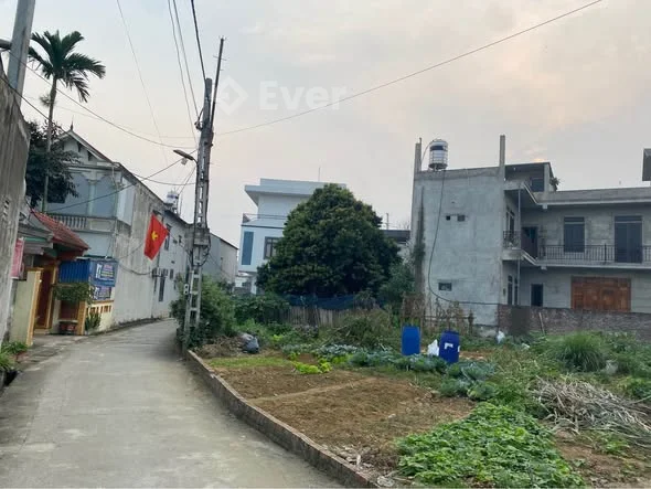 Chính chủ mình cần thanh khoản lô đất tại thôn 5 xã hạ bằng