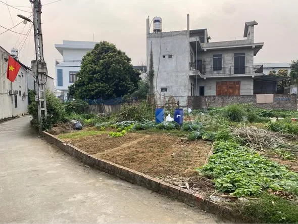 Ảnh bất động sản