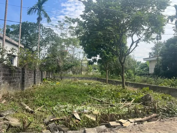 Ảnh bất động sản