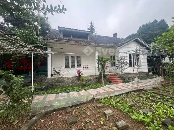 CHỦ CẦN THANH KHOẢN LÔ ĐẤT TẠI CƯ YÊN-Tổng diện tích 309/100m thổ cư