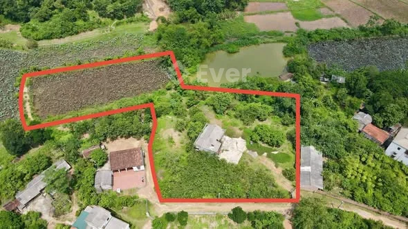 Mua đất tặng nhà và cả một đầm sen thơm ngát. Bằng Tạ- Cẩm Lĩnh- Ba Vì- Hà Nội