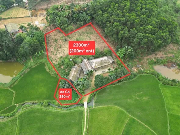 Ảnh bất động sản