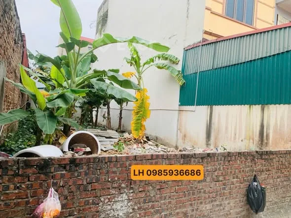 CHÍNH CHỦ CẦN BÁN ĐẤT DO HẠ – TIỀN PHONG, MÊ LINH