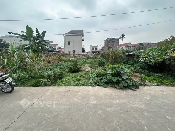 HÀNG HIẾM QUANG TIẾN – FULL THỔ CƯ – Ô TÔ TRÁNH TẬN ĐẤT CÒN LÂU ĐÃ ĐẾN 3 TỎI