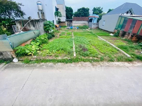 Ảnh bất động sản