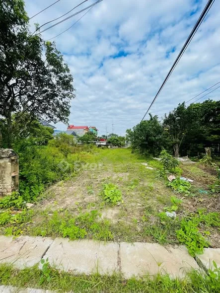 Ảnh bất động sản