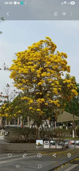 Nhà đẹp An Khánh giá rẻ Hoài Đức, 4 tầng, ô tô vào nhà