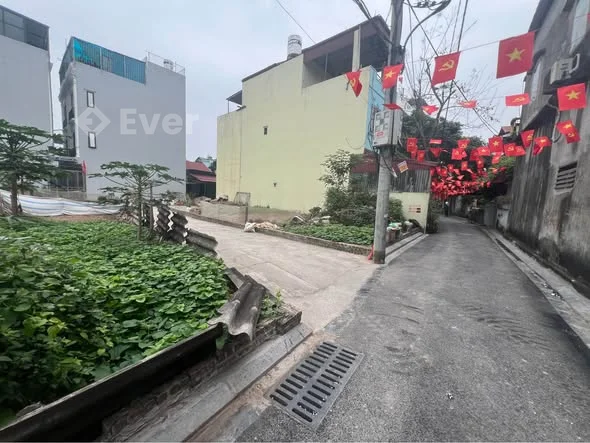 Bán Đất Thổ Cư 55.2m² Tại Thôn Mai Hiên, Đông Anh - Cơ Hội Đầu Tư Hấp Dẫn