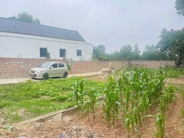 Thị trường Kim Bài đang hot . Nay e ra hàng lô đất Diện tích 41,8 m2 . Oto đỗ cửa