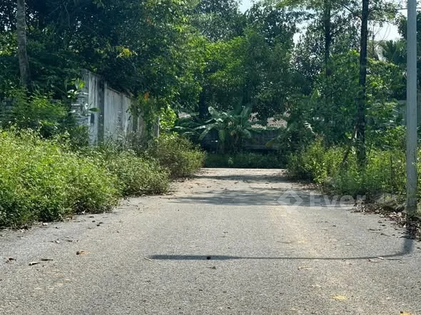 DT61,4m ( G6a ) vĩnh lộc-cổ đông (Đoài Phương mới)Đường thông oto đỗ cửaRẻ nhất khu.