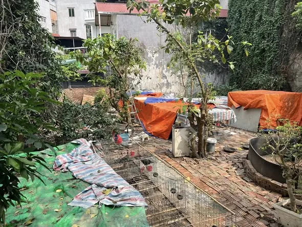 Ảnh bất động sản