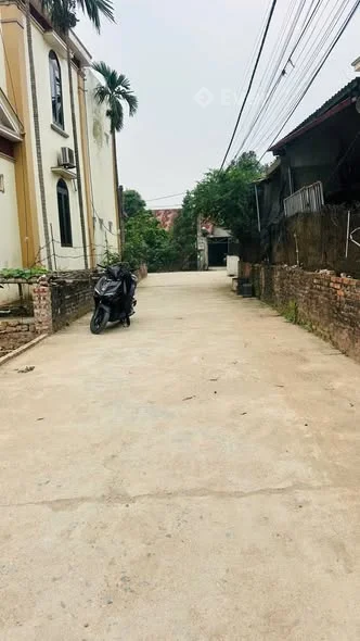 Hoa Hậu mới ra bándiện tích 64,5m2 đất ở đường 4mô tô tránh tại : liên nghĩa-Văn Giang