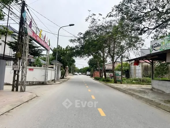Đất mặt đường kinh doanh Lê Quý Đôn - P Hưng Lộc.Diện tích: 136,3m2 rộng 5,51m nở hậu 5,58m