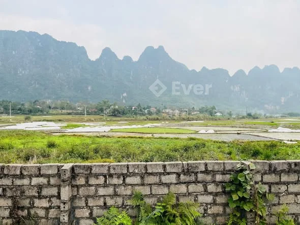 CẦN BÁN 1176M2 CÓ TỚI 400M THỔ CƯTại xóm Ngành xã Liên Sơn Huyện Lương Sơn Tỉnh Hoà Bình