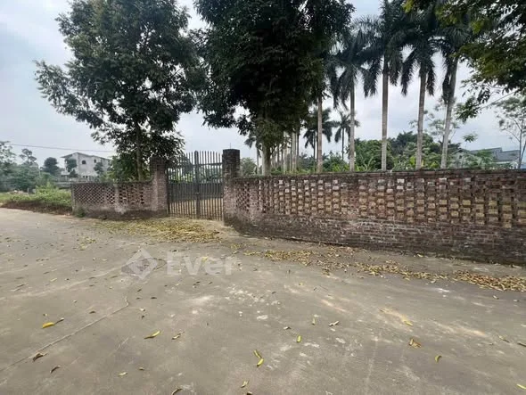 Ảnh bất động sản