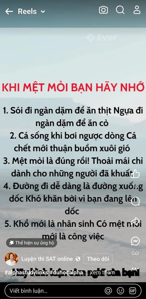 Ảnh đại diện