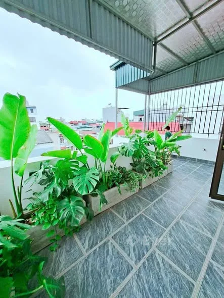 Ảnh bất động sản