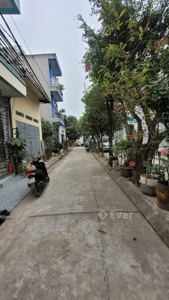 PHÂN LÔ DÂN CƯ – Ô TÔ TRÁNH – KINH DOANH ĐỈNH – DUYÊN THÁI