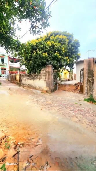 Lô góc 2 mặt tiền wiu gần công nghiệp đang làm. Dt 280m2/mt13,5m.