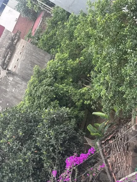 Bán 100m2 đất tại Cổ Dương, Đông Anh