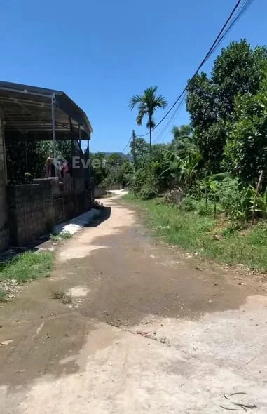 ⸻BÁN 3 LÔ ĐẤT THỔ CƯ – PHÚ THÀNH, LẠC THỦY (cũ)Nay thuộc xã An Nghĩa – Phú Thọ