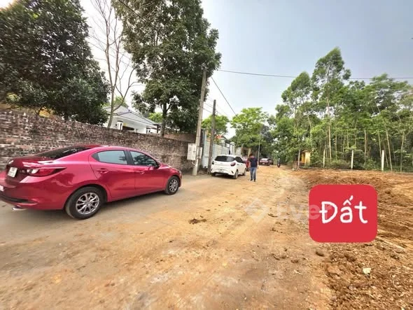 100m có 80 m thổ cư giá 8xxtại trục chính Làng Mạ- Tam Dương Bắc Phú Thọ