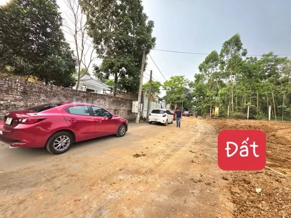 100m có 80 m thổ cư giá 8xxtại trục chính Làng Mạ- Tam Dương Bắc Phú Thọ