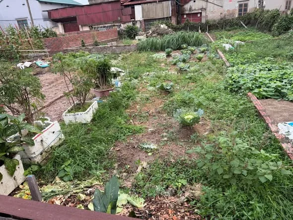 Ảnh bất động sản