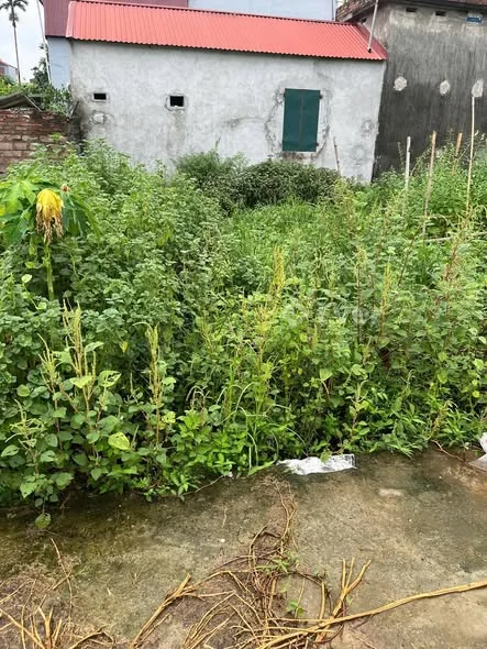 BÁN LÔ ĐẤT SIÊU ĐẸP TẠI XUY XÁ – MỸ ĐỨCVị trí đắc địa – Dân cư hiện hữu, giàu có