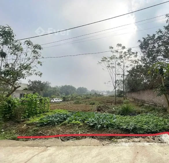 Bán ô đất khu 11 Kim Đức, TP Việt Trì, Phú Thọ - Thỏa thuận - 70.5m²